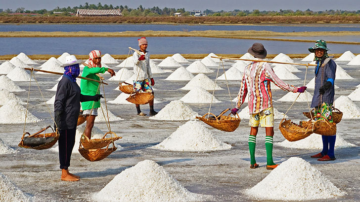 তীব্র তাপপ্রবাহে লবণ উৎপাদনে রেকর্ড